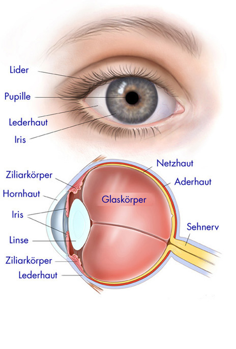 Auge im Augen Centro Oberhausen